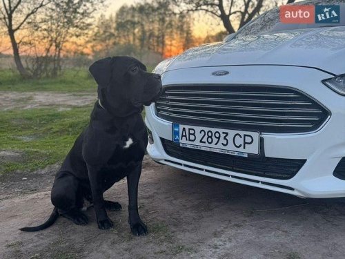 Ford Mondeo 2017