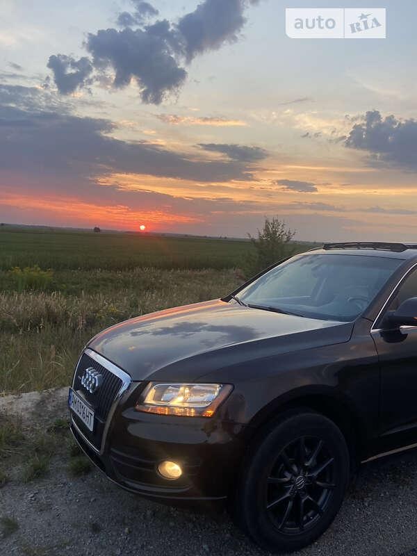 Audi Q5 2010