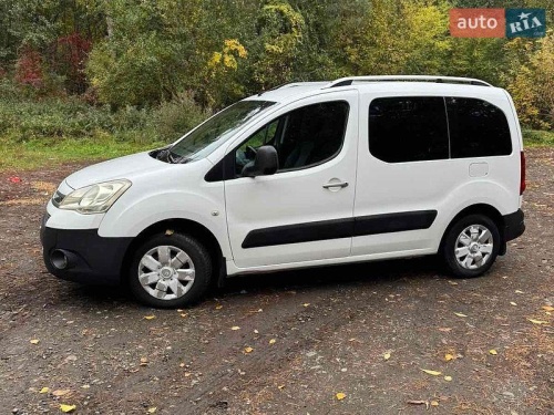 Citroen Berlingo 2009