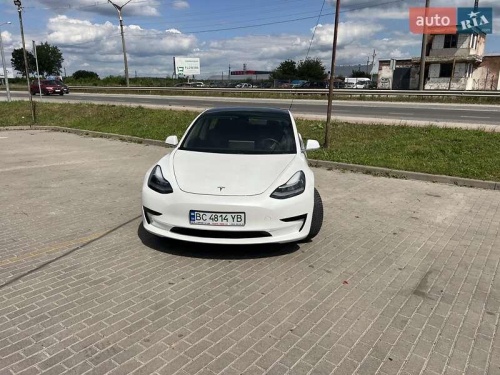 Tesla Model 3 2019
