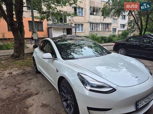 Tesla Model 3 2019
