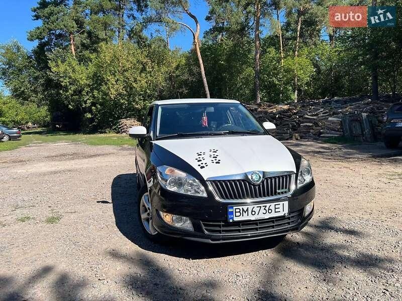 Skoda Fabia 2011