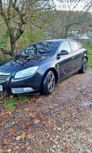 Opel Insignia 2011