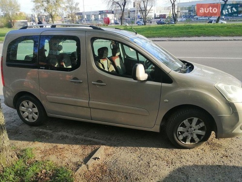 Citroen Berlingo 2009