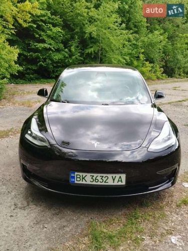 Tesla Model 3 2019
