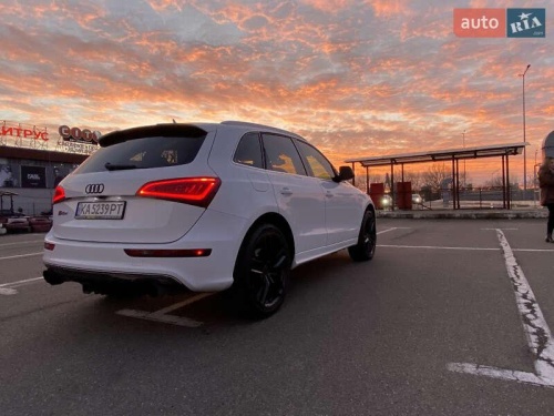 Audi SQ5 2013